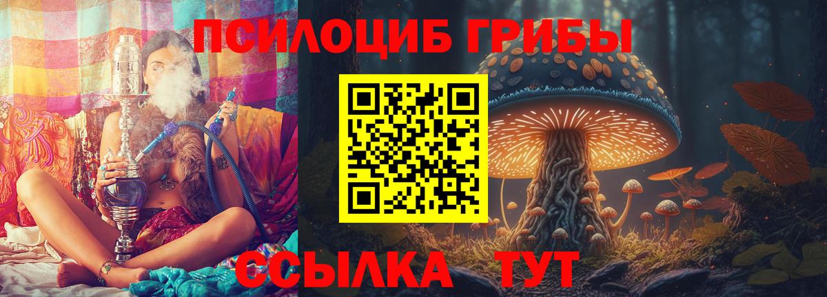 Галлюциногенные грибы Cubensis  Псилоцибиновые грибы мухоморы  Вход с VPN  Светлоград 